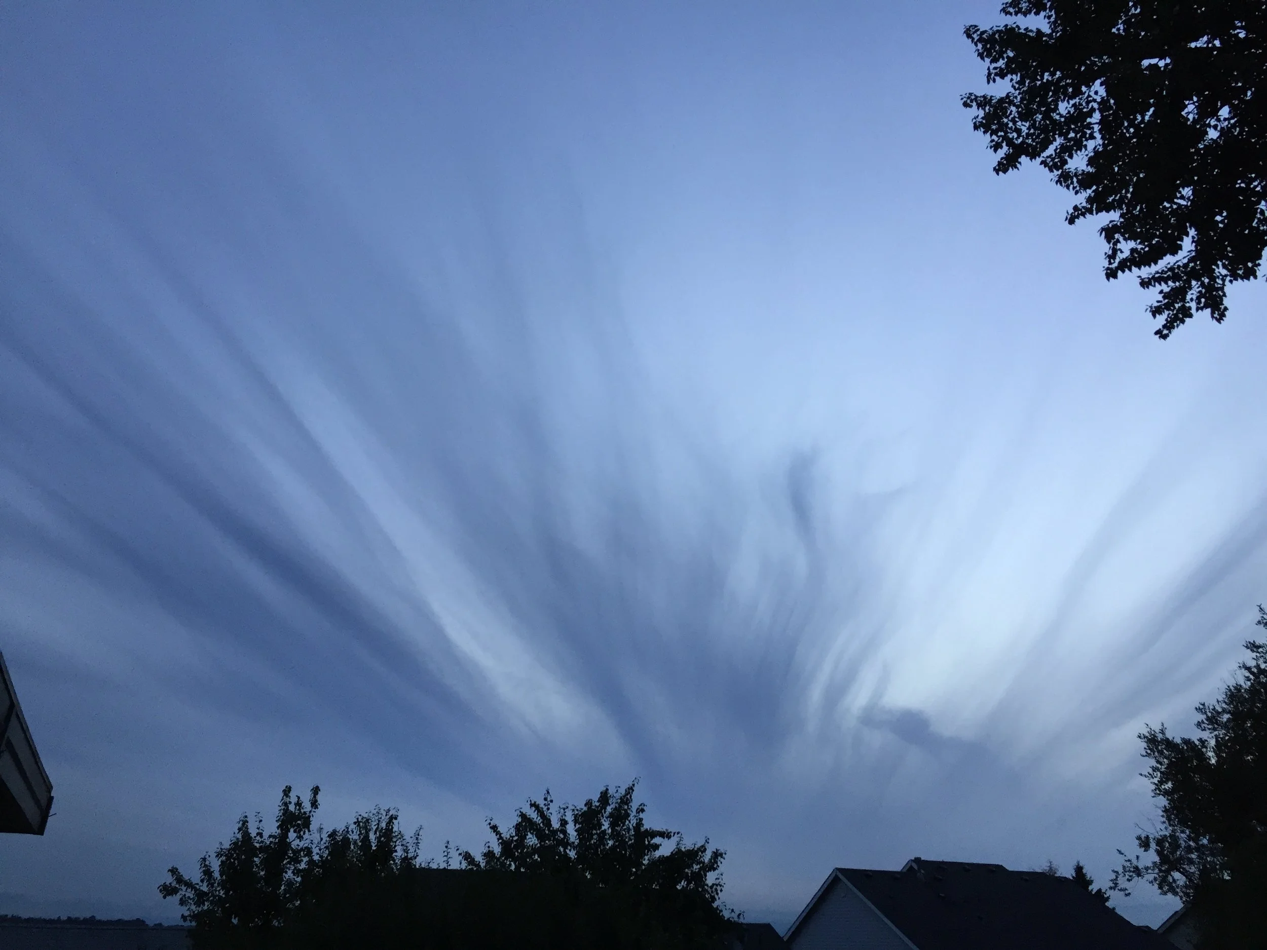 A-HA! Things that amaze us! LOVE STORIES!