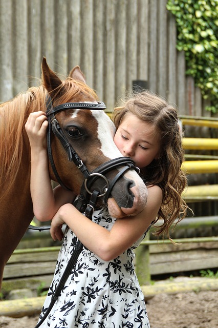 pony-2595144_640.jpg