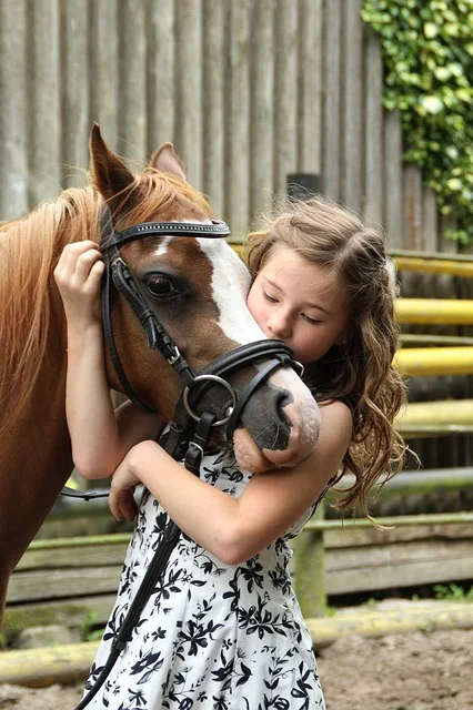 Unconditional Love Of An Animal