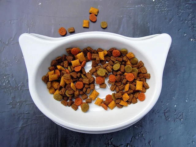 What's Really Is In Your Petfood?