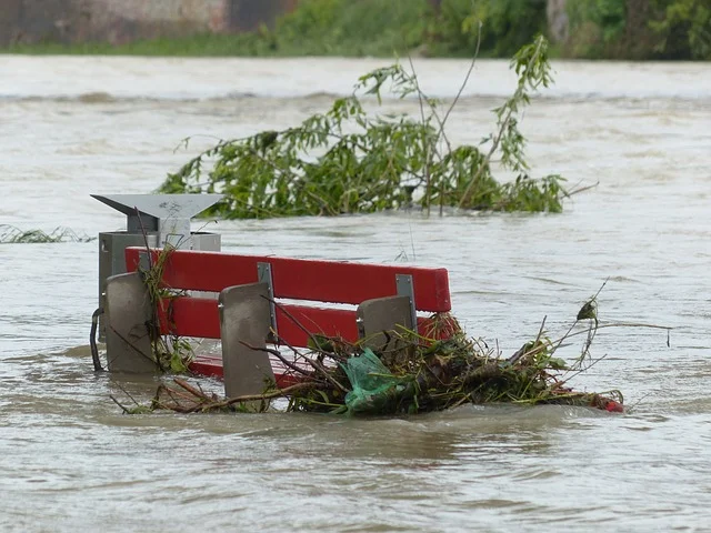 Keep Your Pets Redy For Disaster