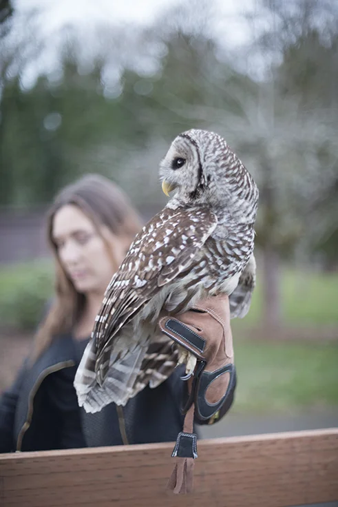 Alina Blankenship with the Owl we have named HOOT... Going Home!