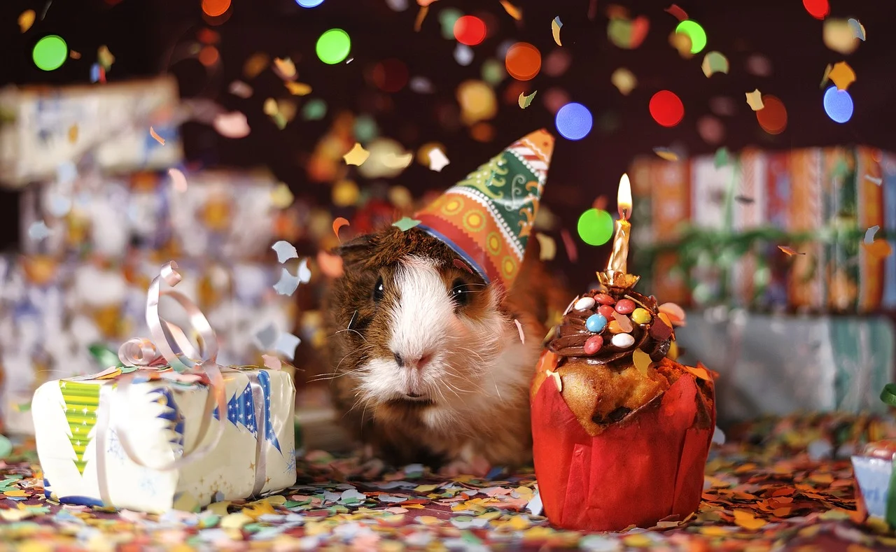 It Turns Out Our Pets Can Make Us Happy and Healthy!