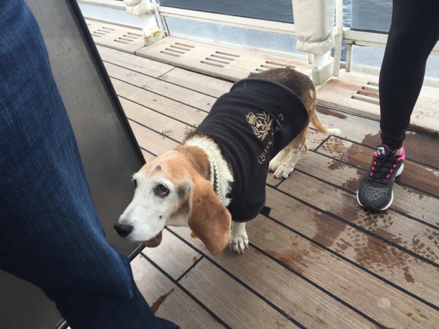 MOLLY SAILS ON THE QUEEN MARY 2