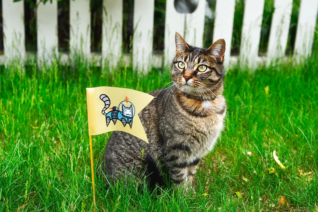 5 THINGS TO CONSIDER WHEN CHOOSING A FENCE FOR PETS 