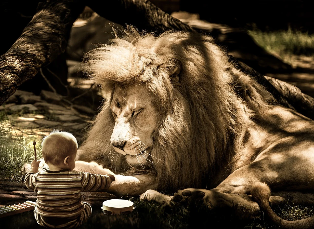 mammal-3128351_1280_lion and kid_MUSIC_pixabay.jpg