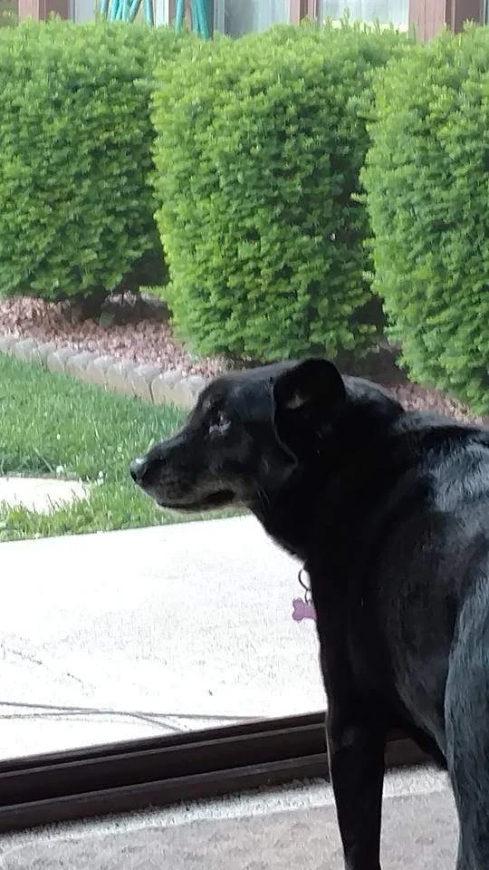 I Still Miss Her...