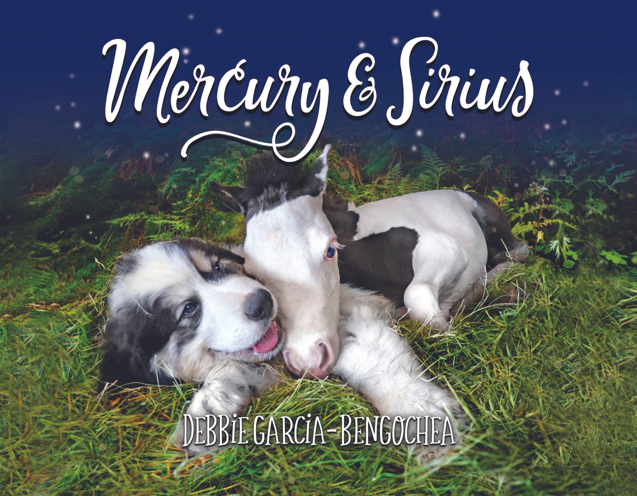 Mercury &amp; Sirius  (Paper Back) by Debbie Garcia-Bengochea