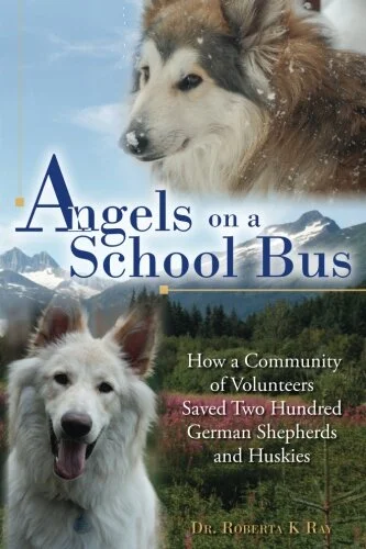 ANGELS ON A SCHOOL BUS