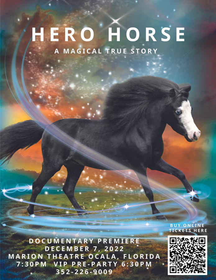 MAGIC ~ Magic the Little Hero Horse    