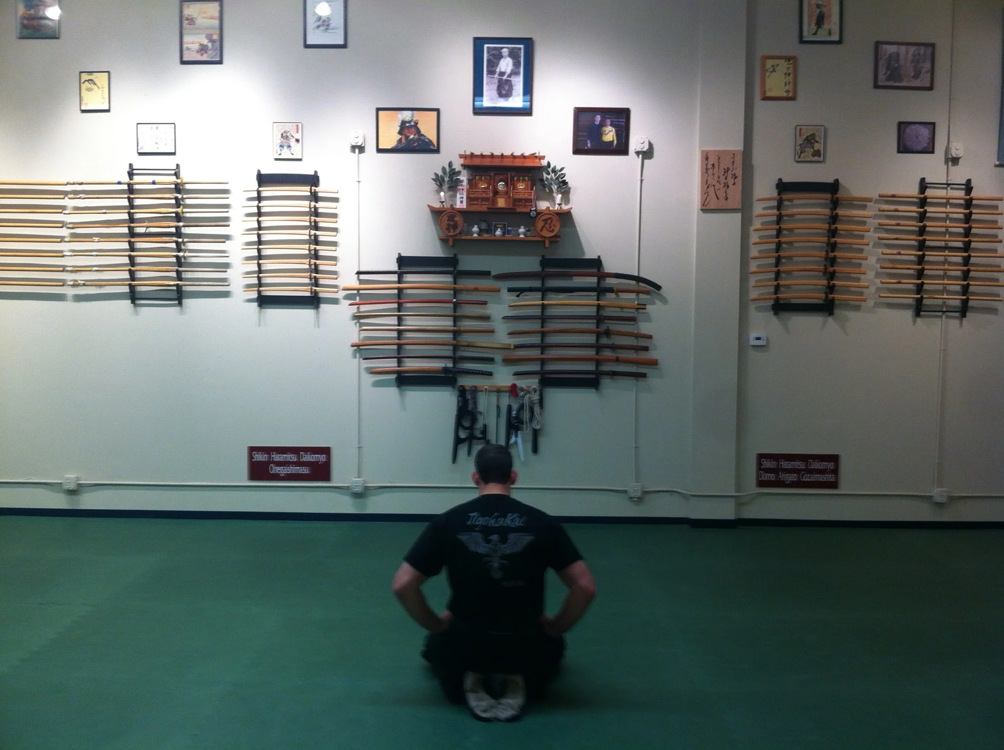 Takagi Yoshin Ryu Jutaijutsu : Jason Kratz Shihan