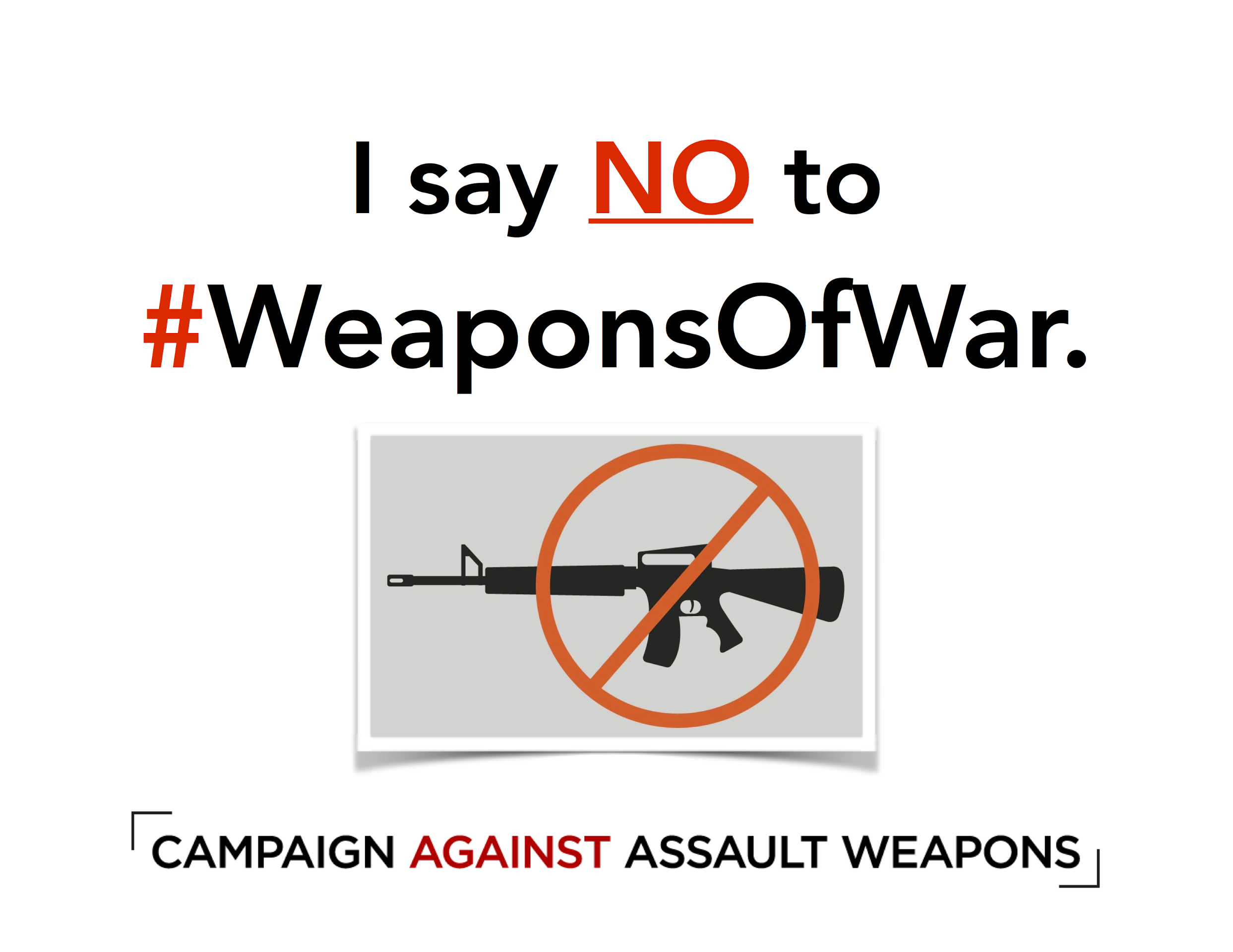 CAMPAIGN AGAINST ASSAULT WEAPONS — Newtown Action Alliance