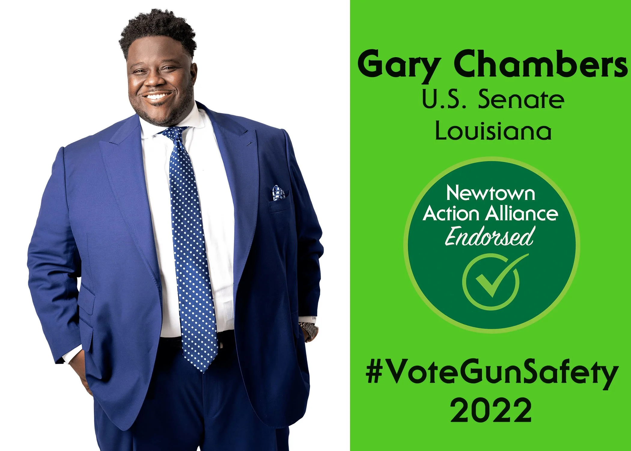 Senate — Newtown Action Alliance