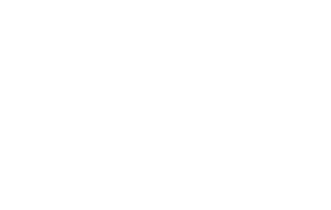 stushbridal2019logowhite.png
