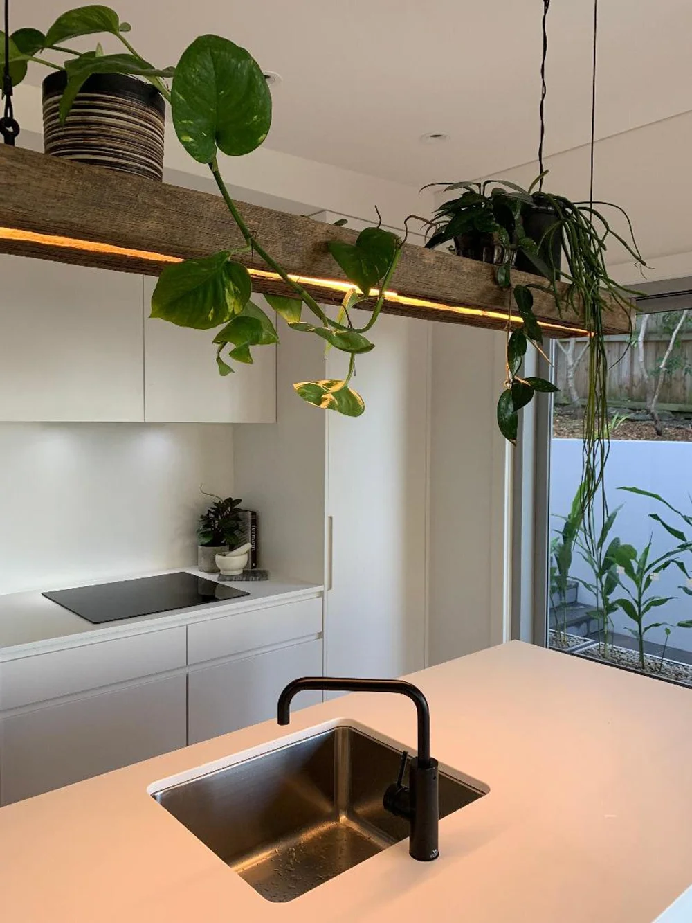 Curl Curl - Portfolio — Fe Design Interiors