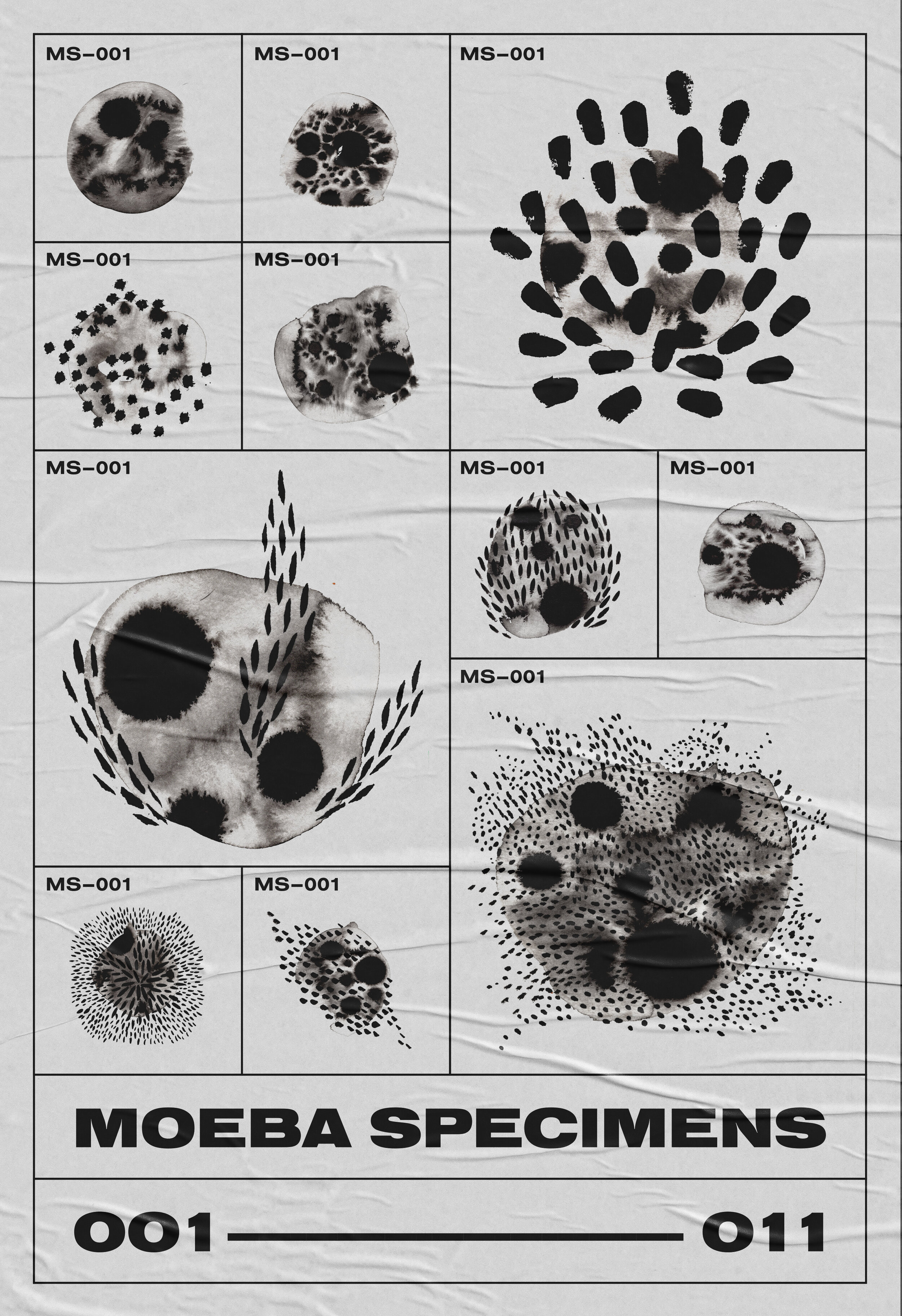 Moeba_Specimen_Chart_Large.jpg