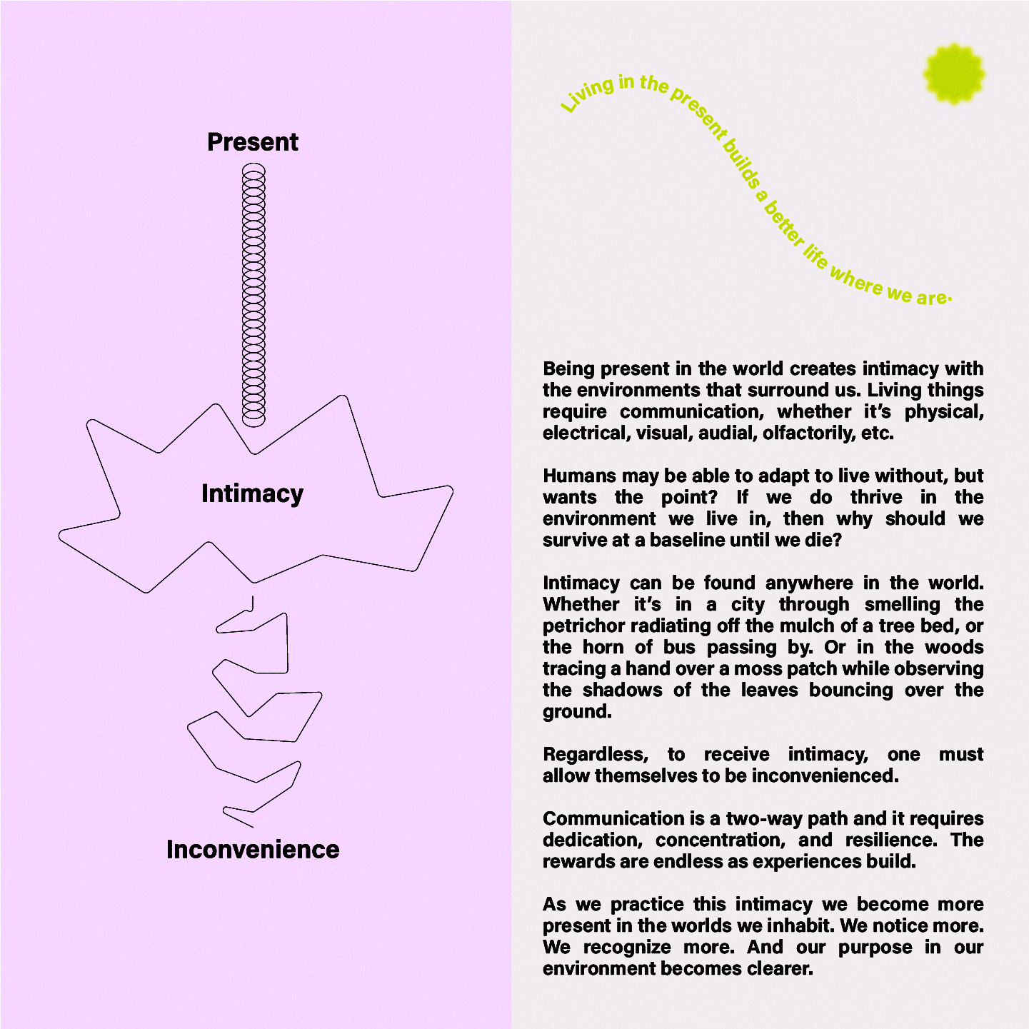 Artboard 1 copy 6.png