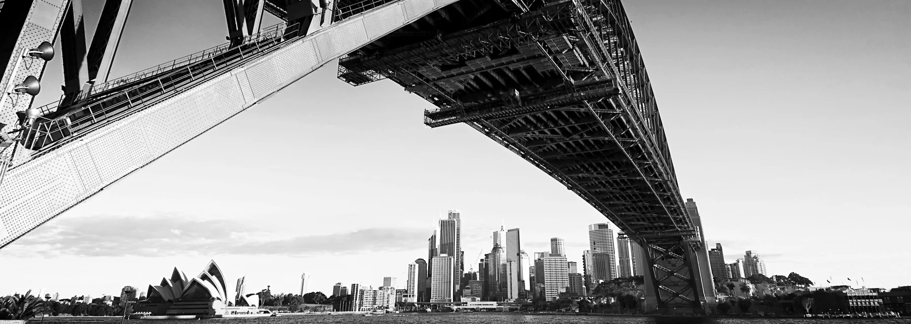 daa-office-view-sydney.jpg