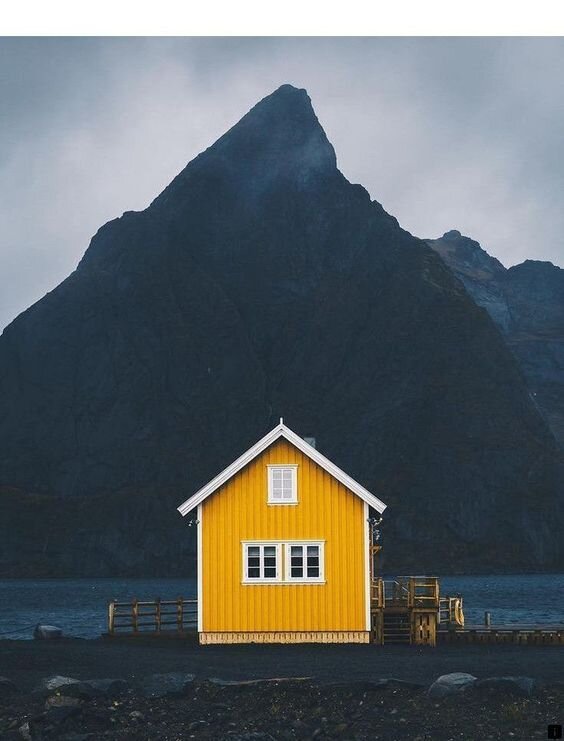 yellow cabin .jpg