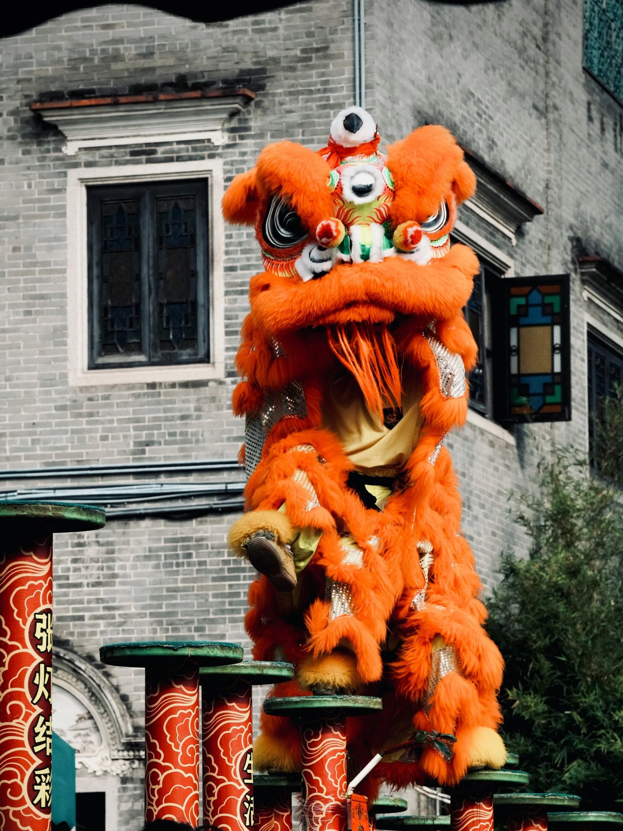 Dragon and Lion Dances