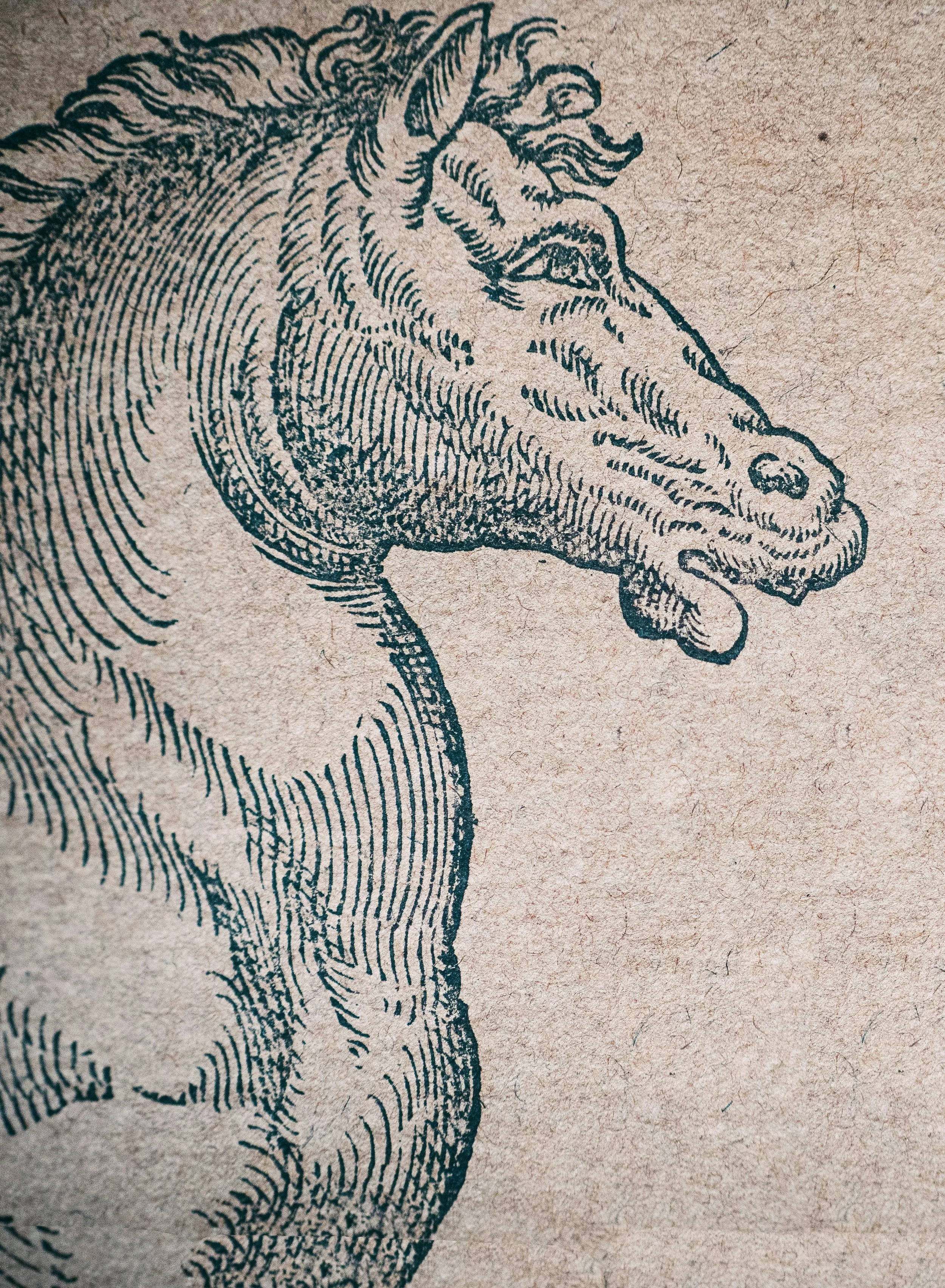 2026 CHINESE ZODIAC HOROSCOPES