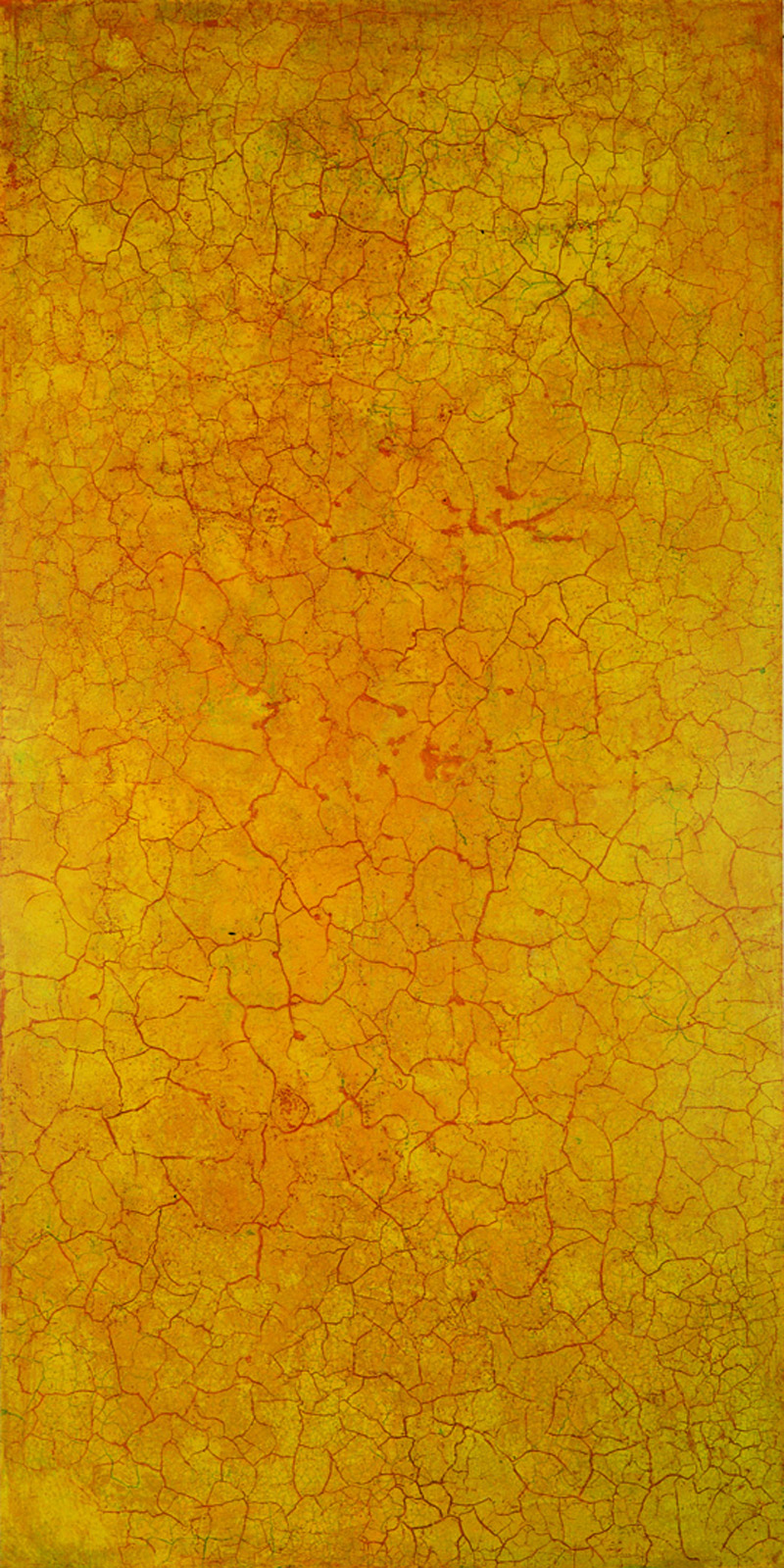   Krakelering # 1 . 1995. Lacquer, oil and pigment on birch plywood. 280 x 140 cm. 