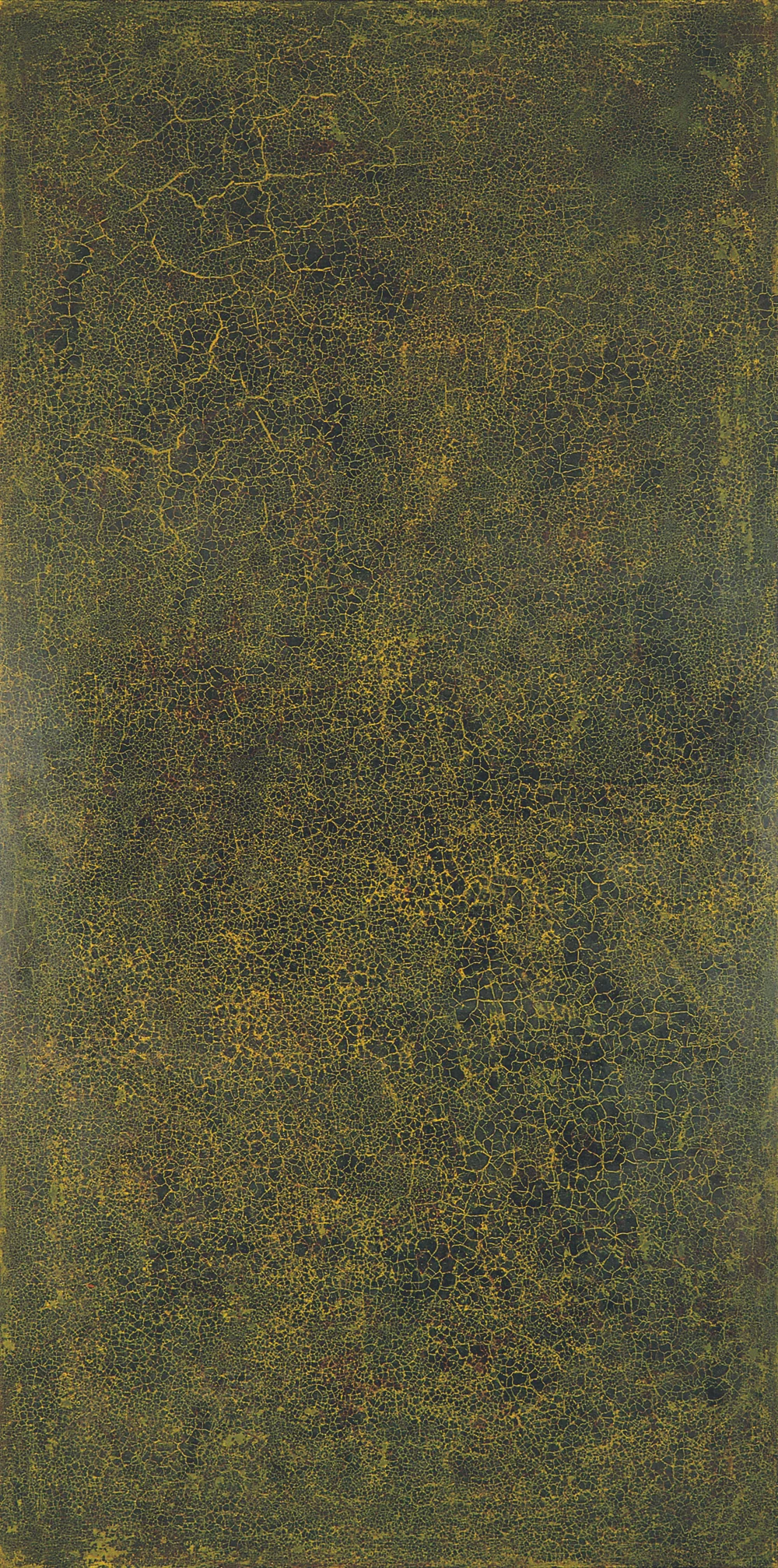 Krakelering # 2 . 1995. Lacquer, oil and pigment on birch plywood. 280 x 140 cm.
