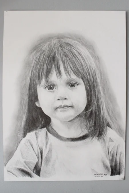 Commission Drawing Timelapse