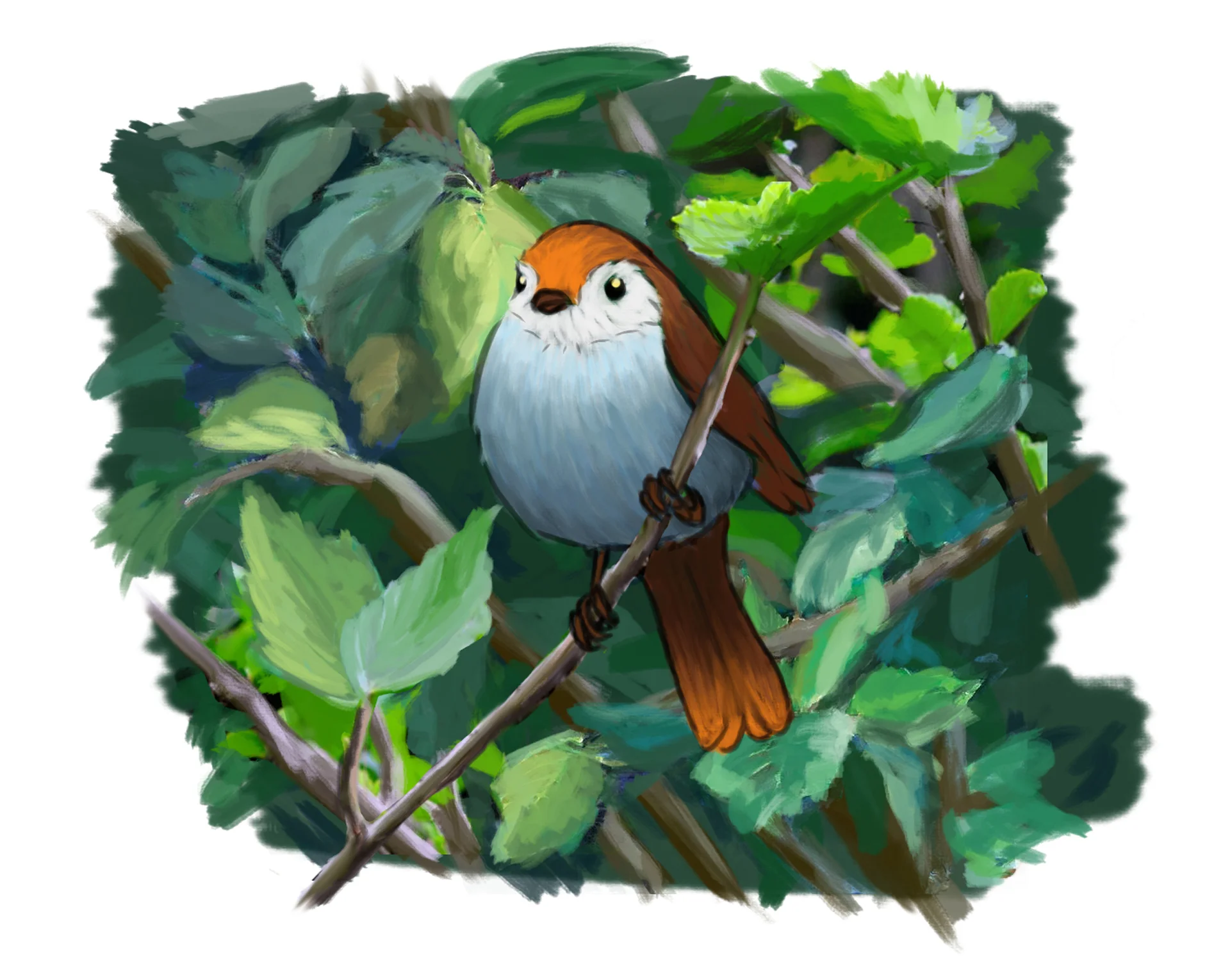 ConceptBird.jpg