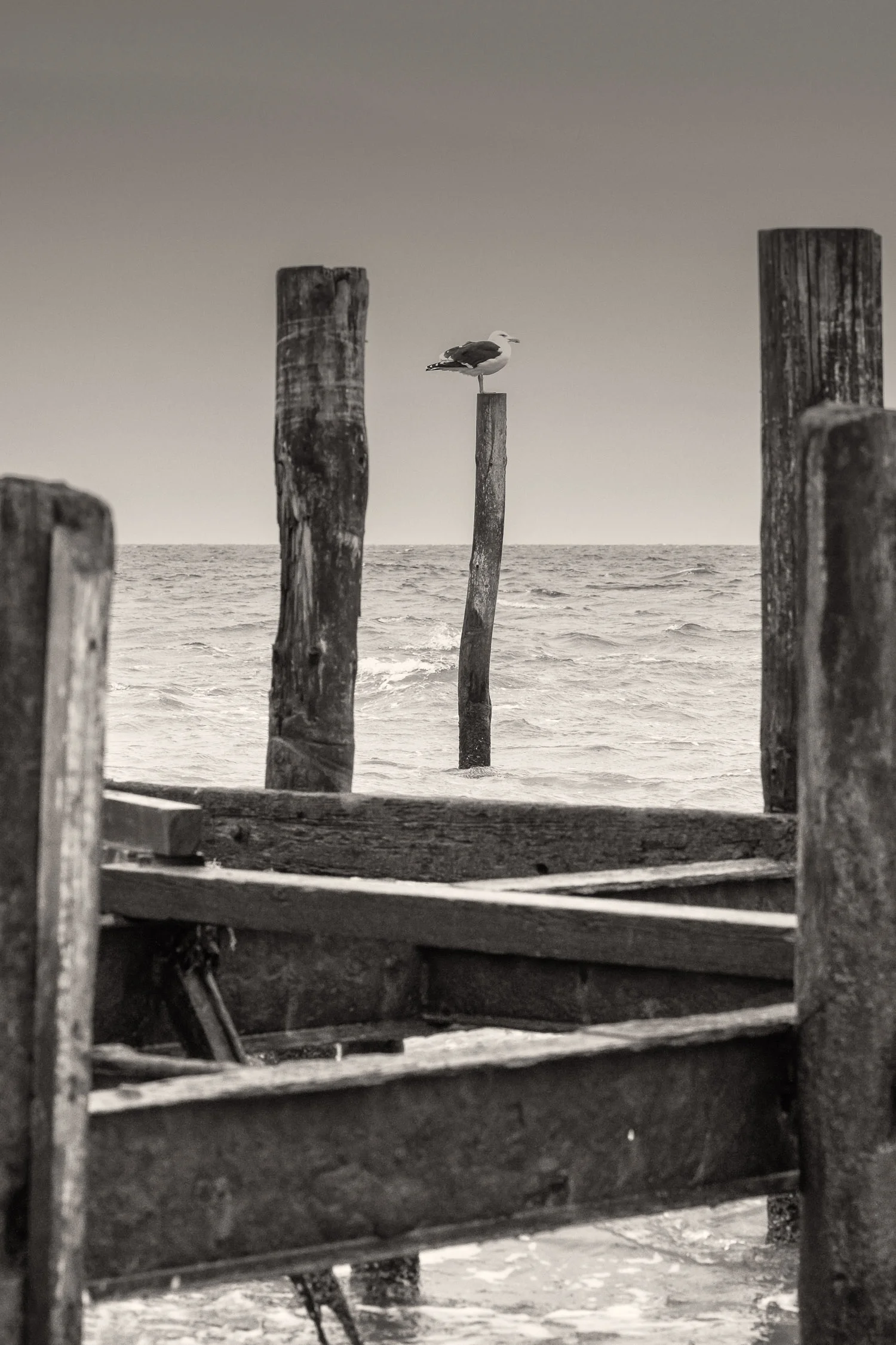 _DSC4826-Edit.jpg
