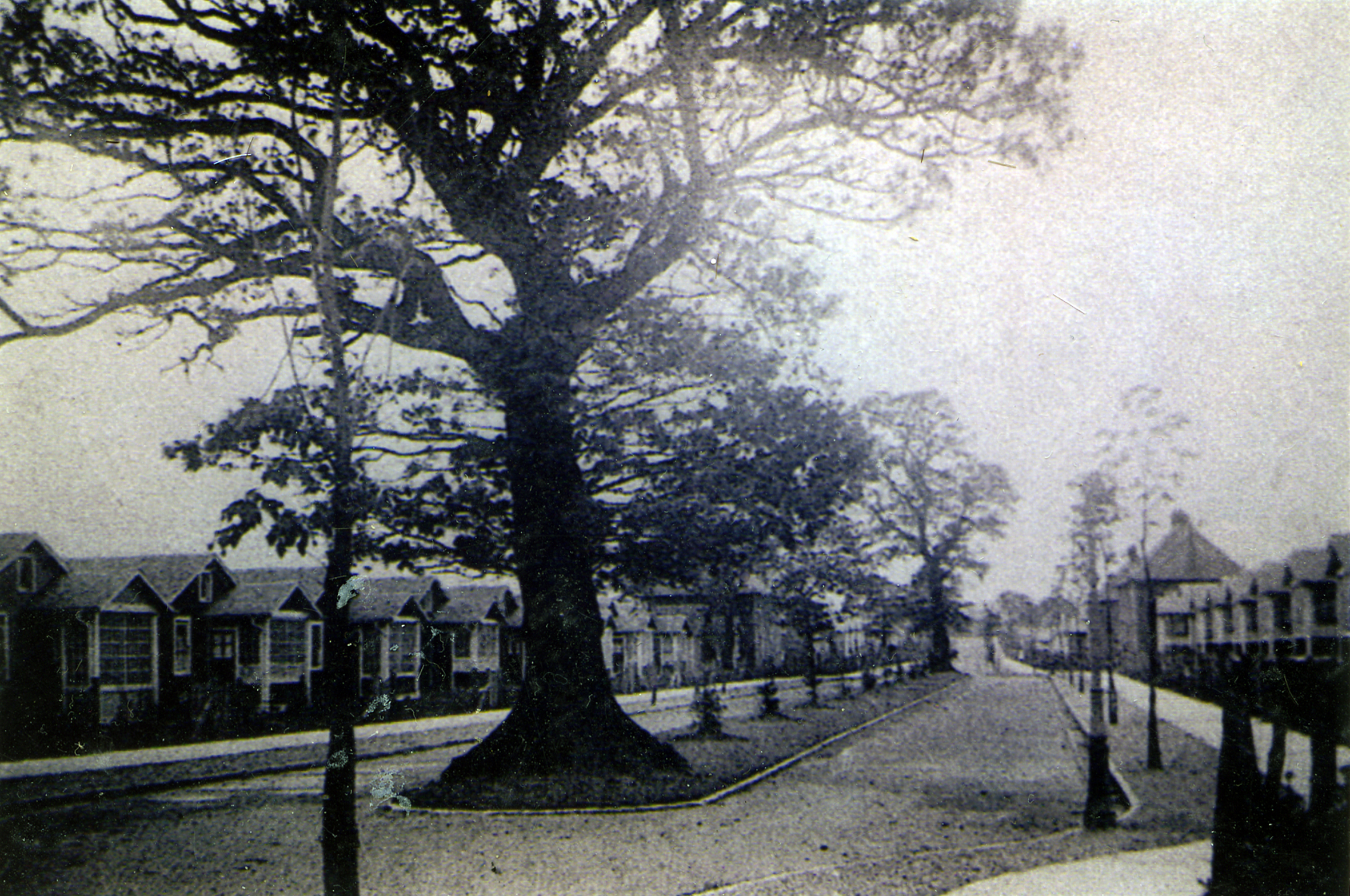  Central Avenue, c.1918 