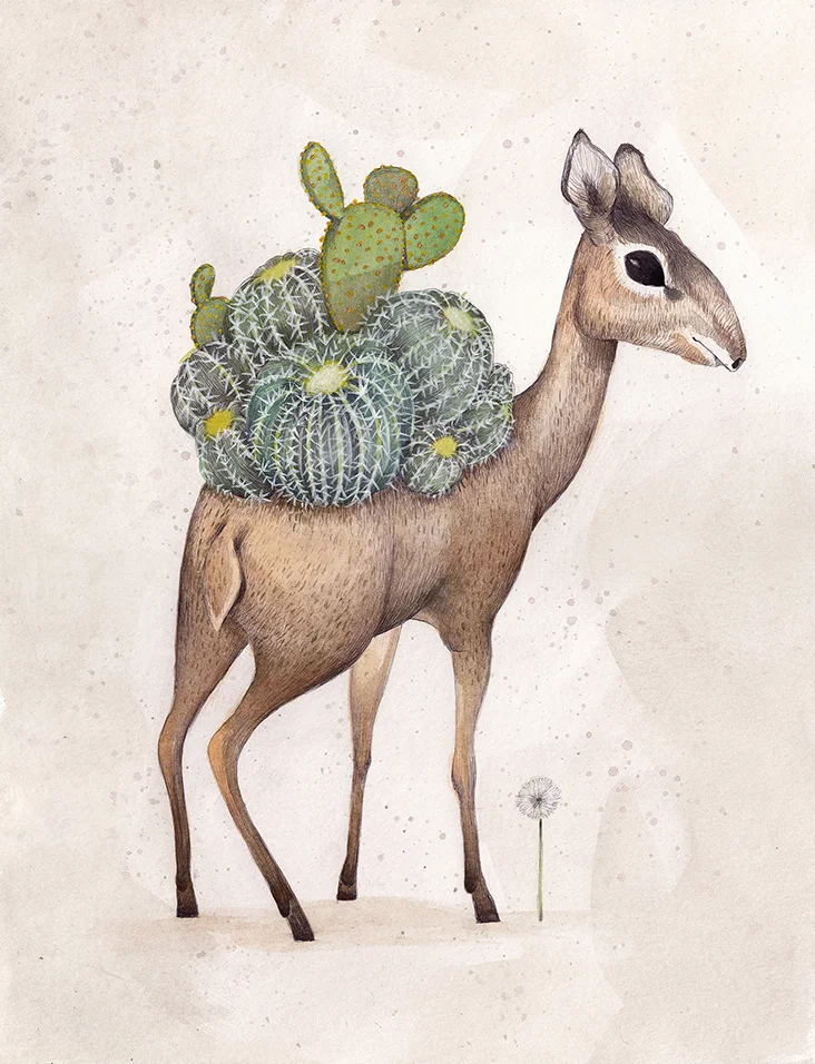 dikdik_sm.jpg