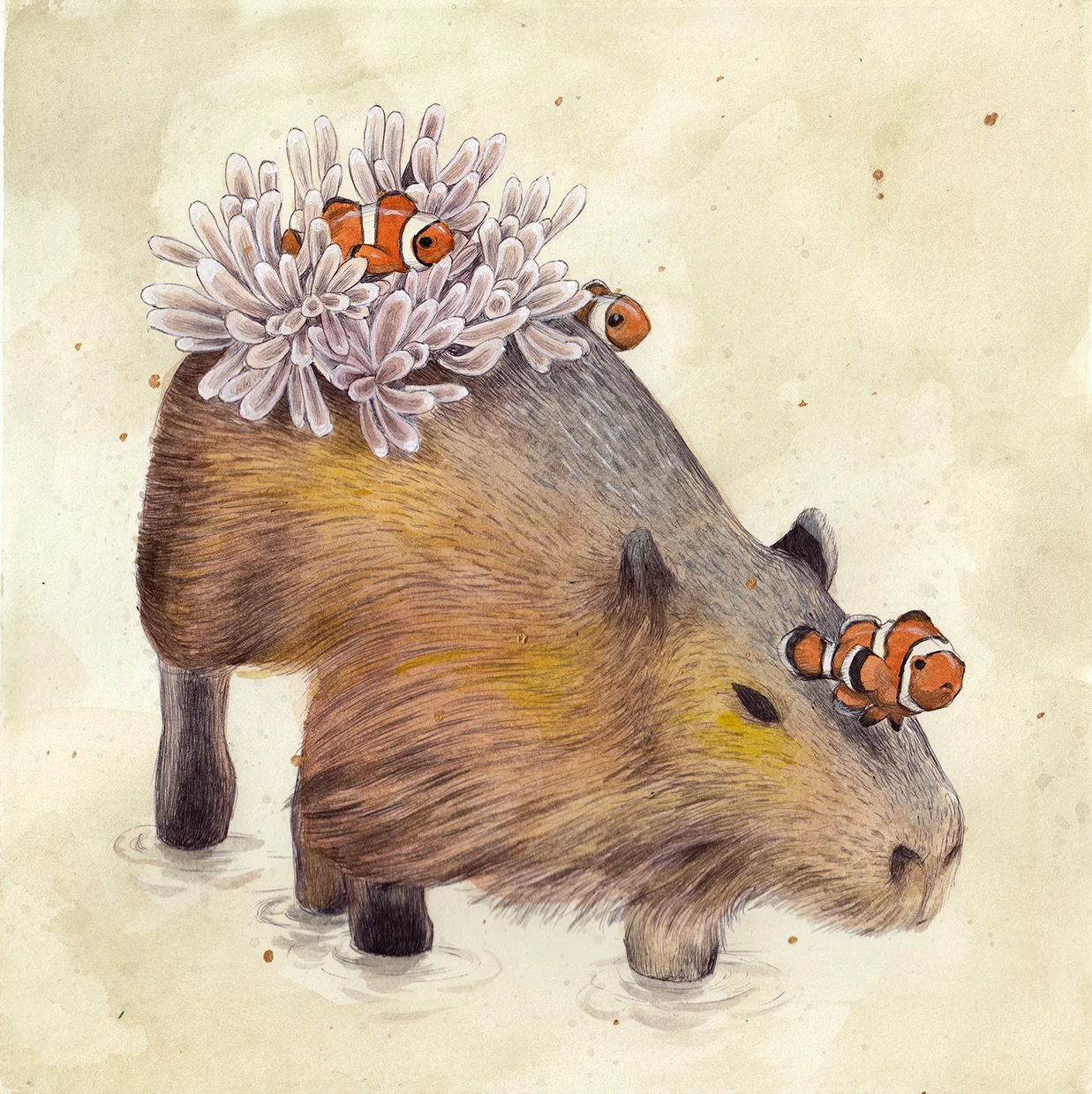 capybaraClownfish_sm.jpg