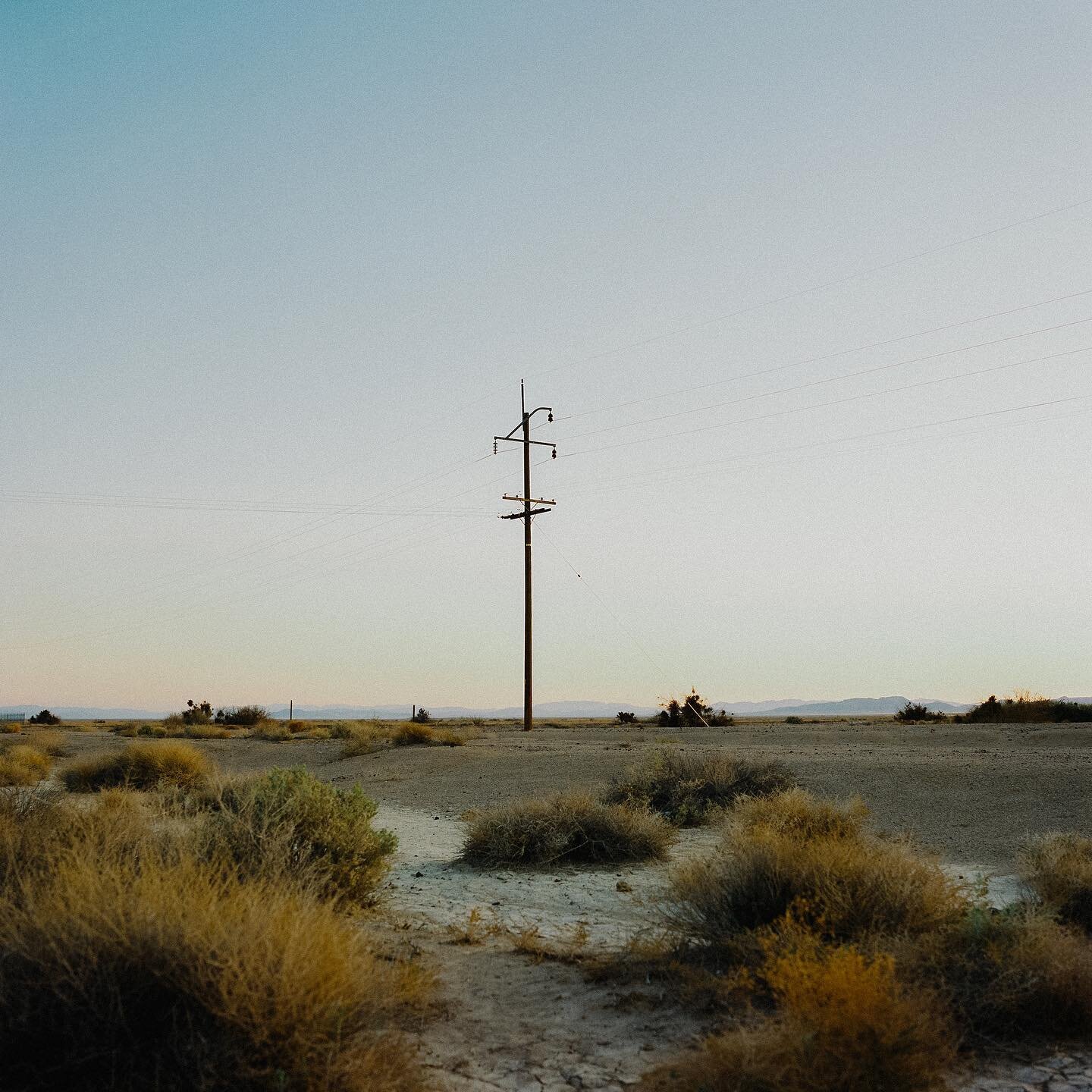 Desert poles #hasselblad500cm #120film