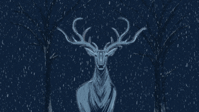 deer-boil 400x225 optimised 75%.gif