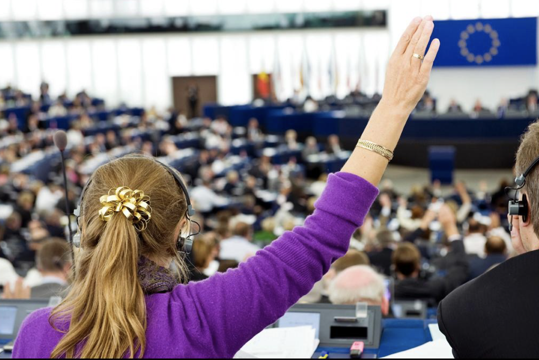 MEPs recognise Palestine as a state
