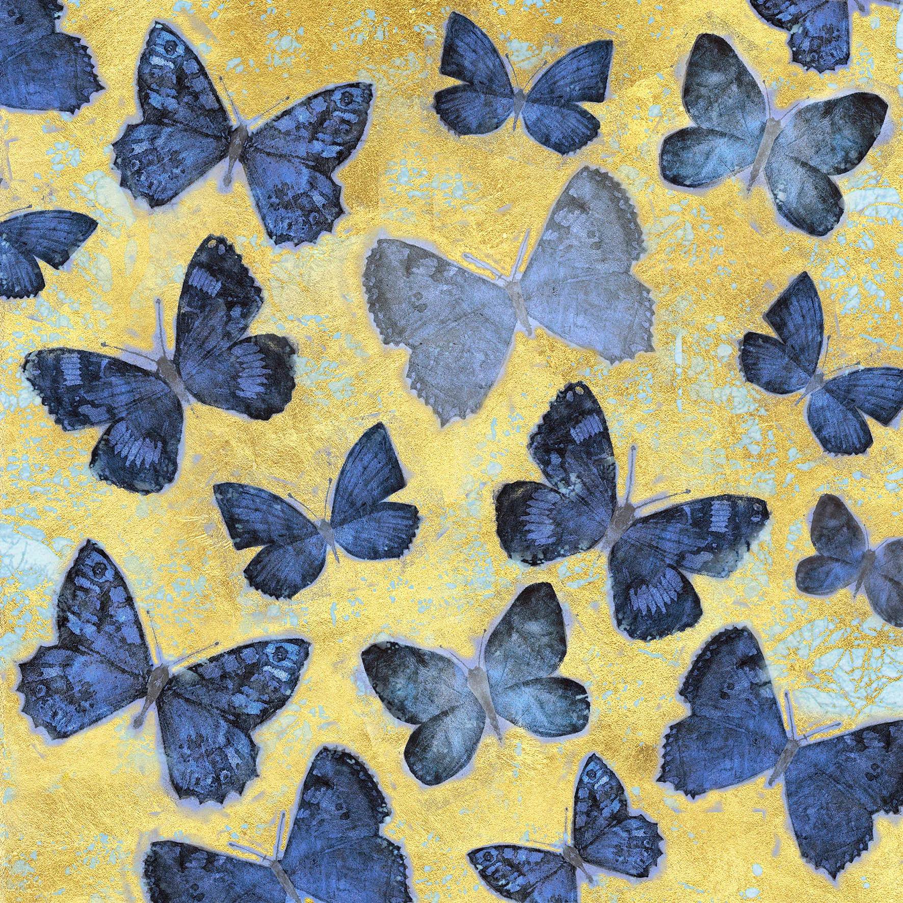 BeautifulButterflies2011web.jpg