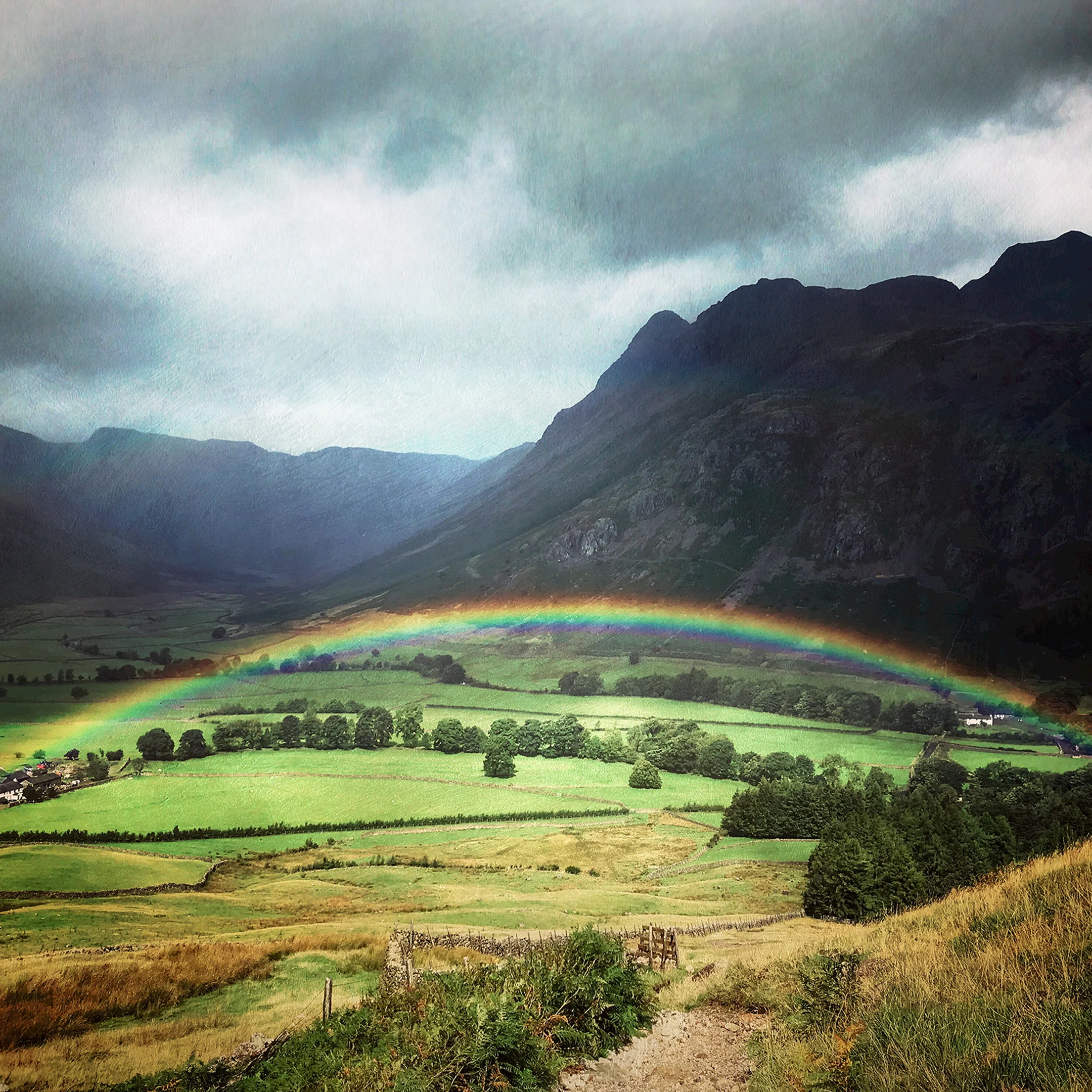 Somewhere over the Rainbow web.jpg