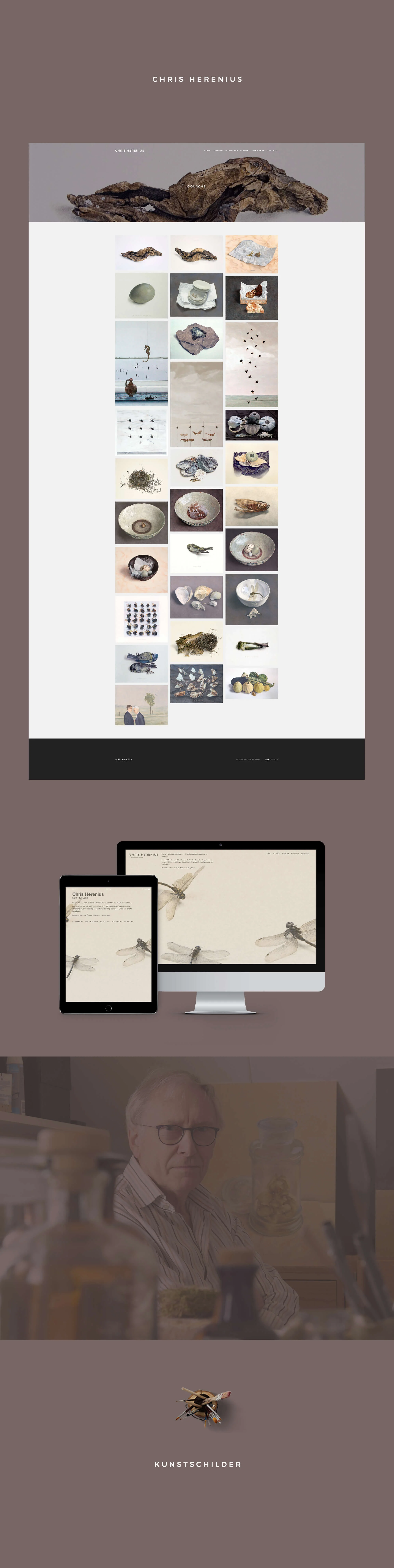 ziezoh_website_herenius_nl.jpg