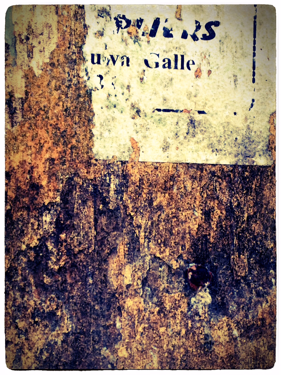 image-3 - copie.jpeg