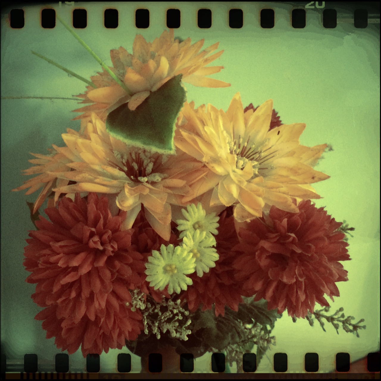 image-5.jpeg