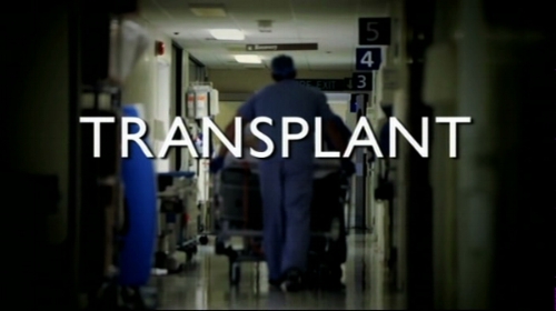 Transplant.jpeg