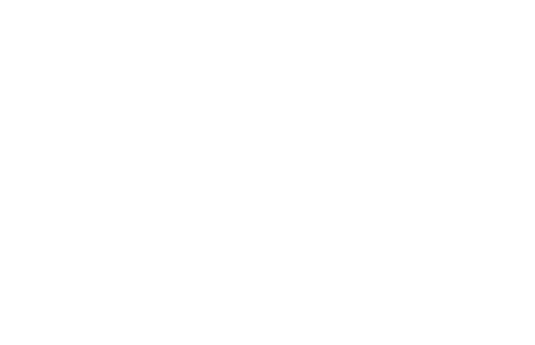 report.png