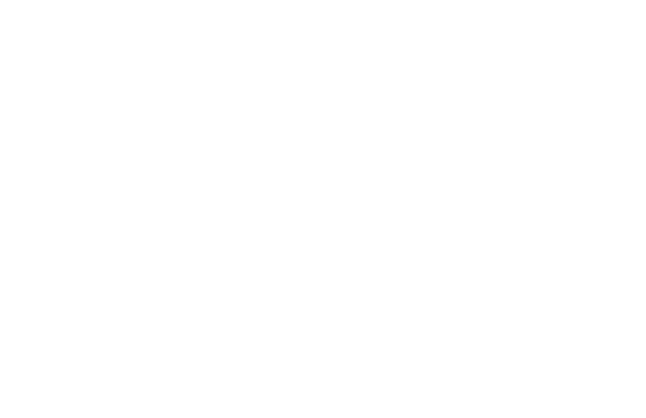 incident2.png
