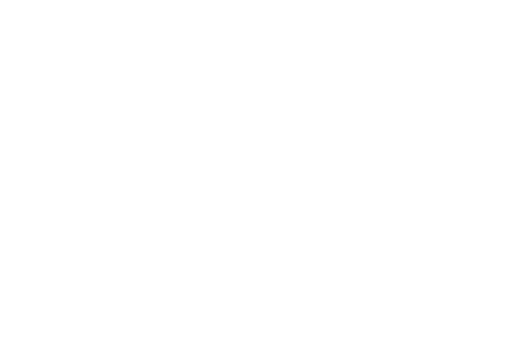 scan.png