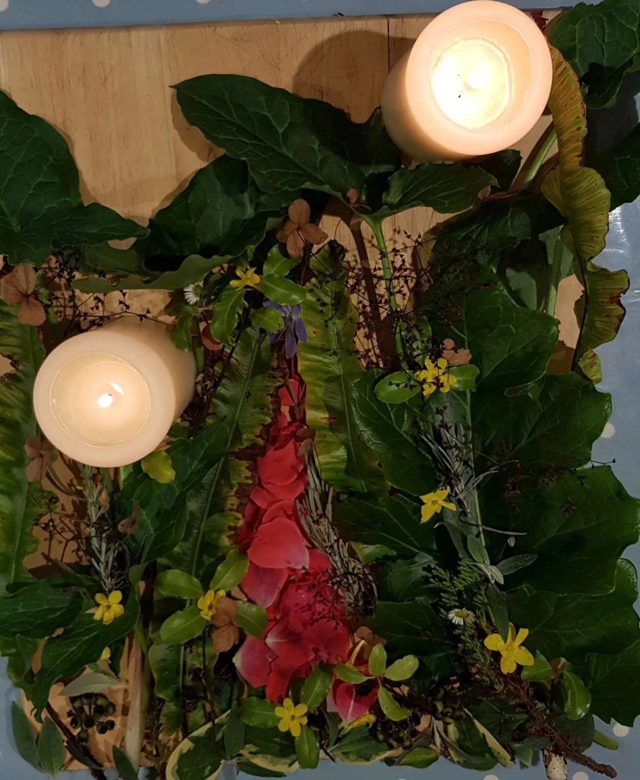 blood ceremony creations