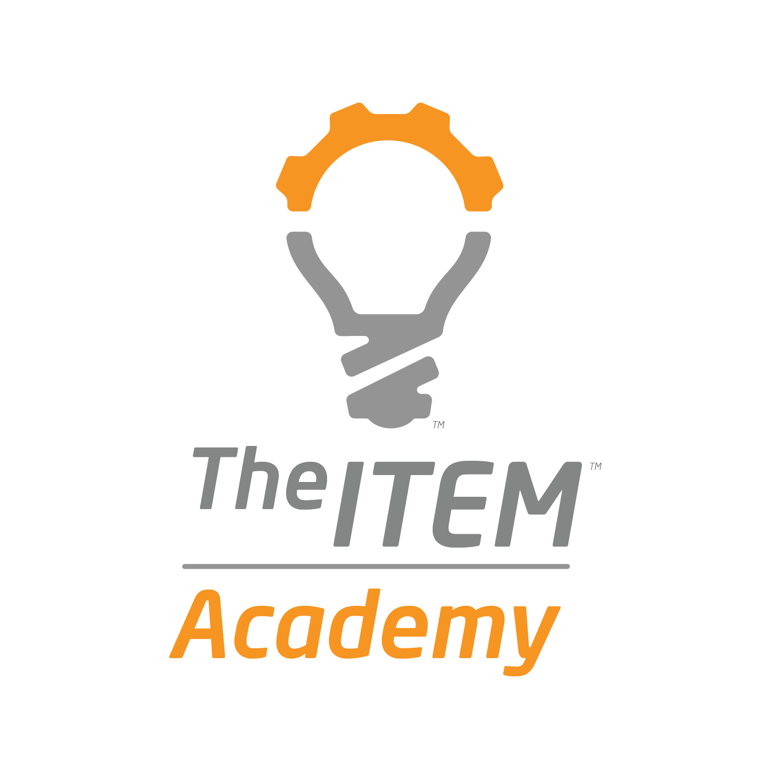 The ITEM Academy