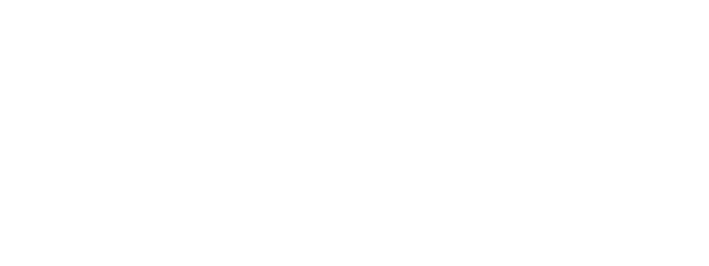 Learning-Skills-Partnership_QUALIFICATION.png