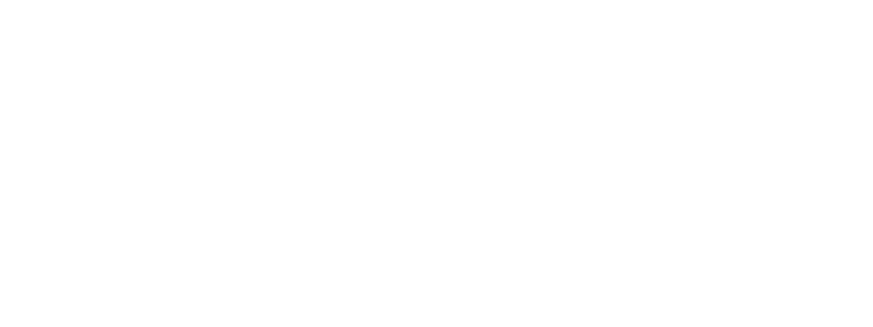 Learning-Skills-Partnership_CAREER-PROGRESSION.png