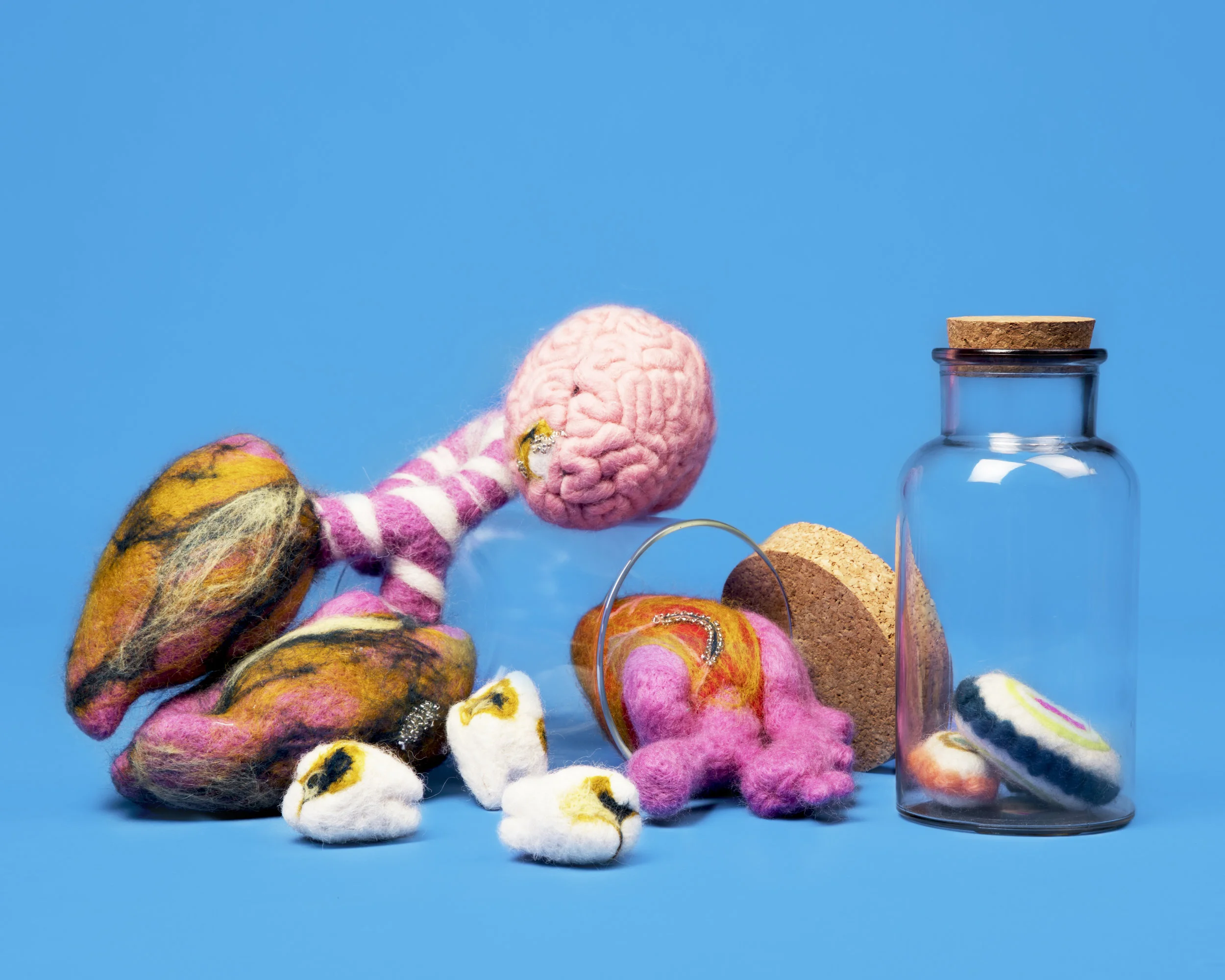  This piece explores the anxiety of fatal diseases and the possibility of having one, but also makes light of it.  Made with needle felting and embellishments. 